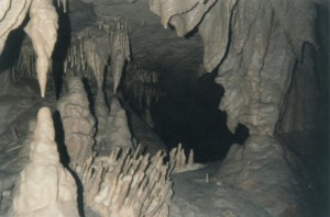 Rippy Ridge Cave on Willow Wood Farm
